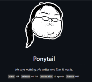 ponytail-setup-guide